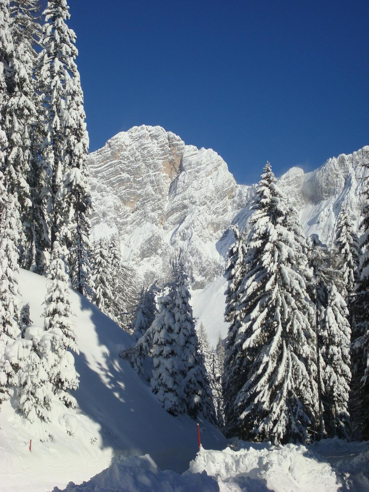 Bergerhof Hotel Ramsau am Dachstein Ngoại thất bức ảnh