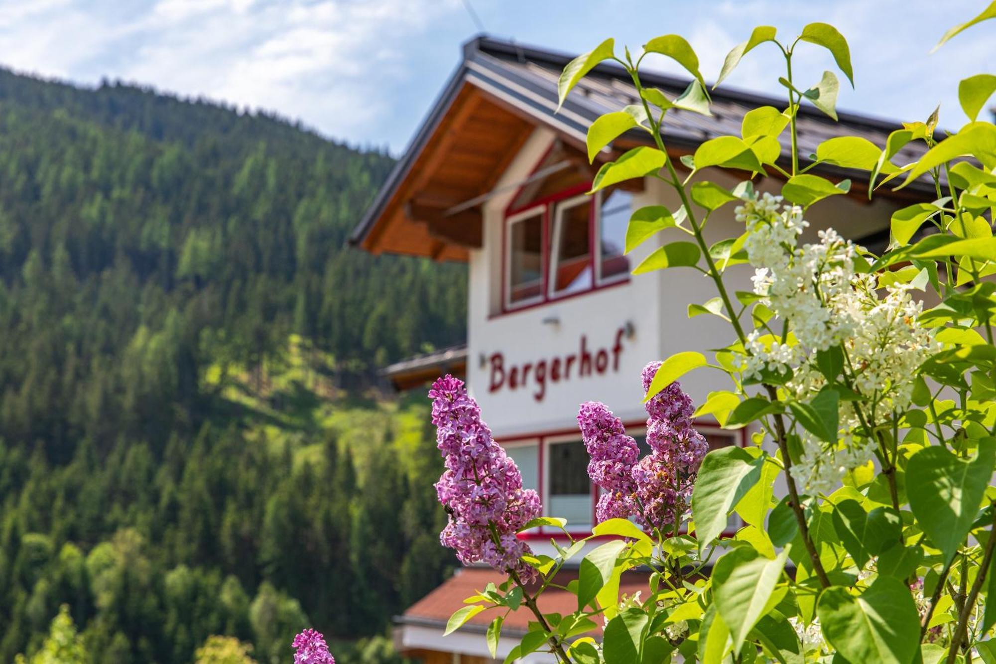 Bergerhof Hotel Ramsau am Dachstein Ngoại thất bức ảnh